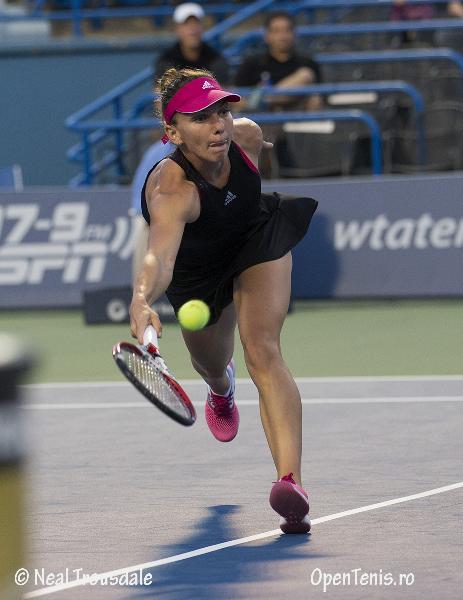 Halep - galerie foto exclusiva de la New Haven